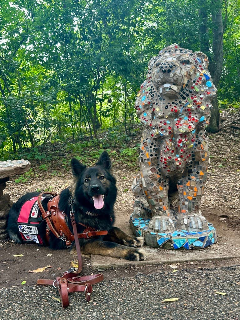 Watson, my current service dog