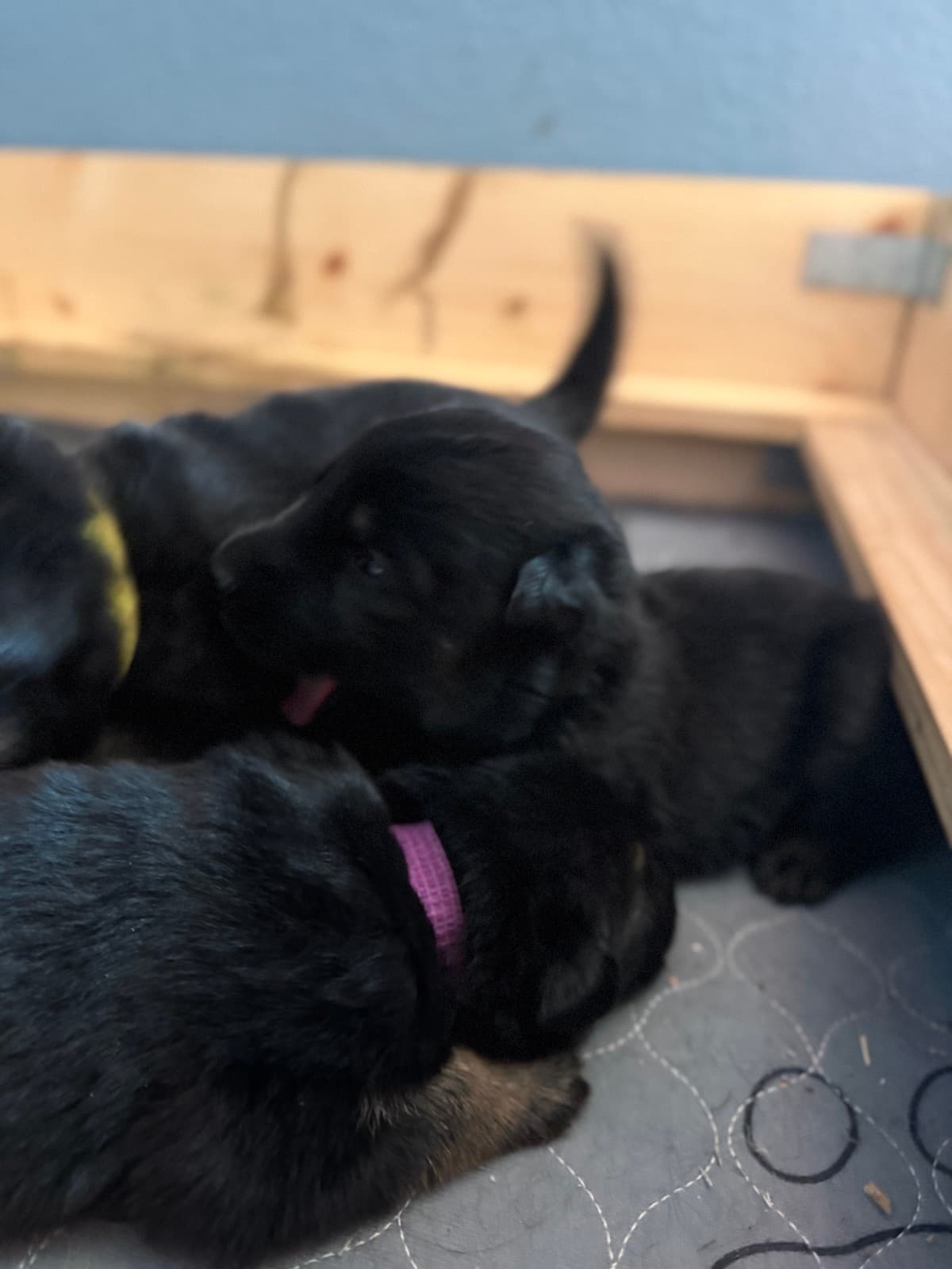 Charles, Gina, and Terry