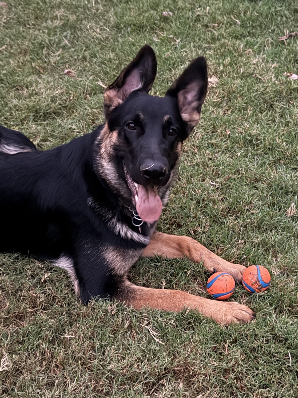 Charles relaxing with his toy